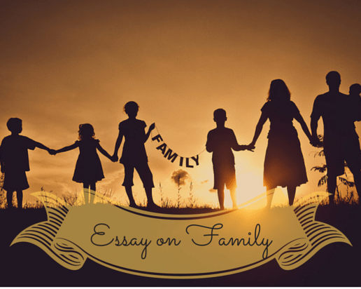 Advice and Guidelines for Writing an Essay on Family